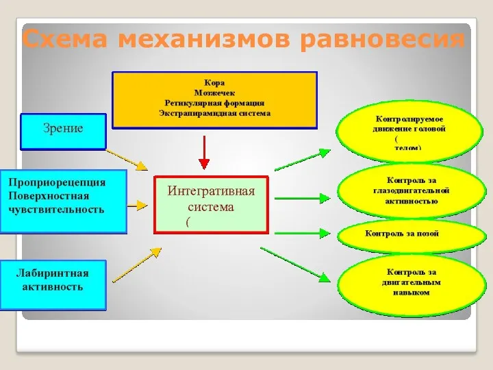 Схема механизмов равновесия