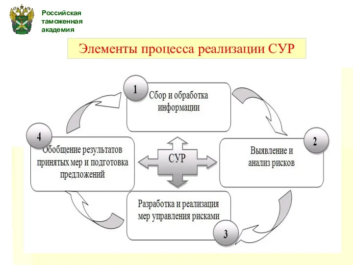 Российская таможенная академия Элементы процесса реализации СУР