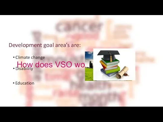 How does VSO work? Climate change Disability Education Development goal area’s are: