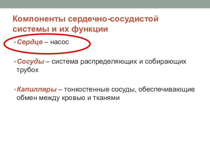 Компоненты сердечно-сосудистой системы и их функции Сердце – насос Сосуды