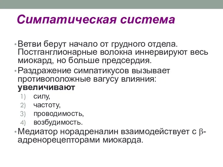 Симпатическая система Ветви берут начало от грудного отдела. Постганглионарные волокна