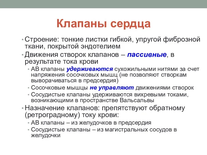 Клапаны сердца Строение: тонкие листки гибкой, упругой фиброзной ткани, покрытой