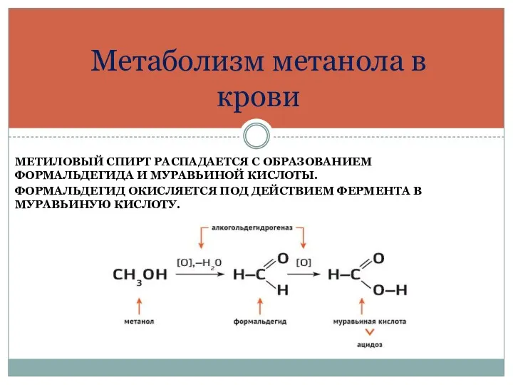 МЕТИЛОВЫЙ СПИРТ РАСПАДАЕТСЯ С ОБРАЗОВАНИЕМ ФОРМАЛЬДЕГИДА И МУРАВЬИНОЙ КИСЛОТЫ. ФОРМАЛЬДЕГИД ОКИСЛЯЕТСЯ ПОД ДЕЙСТВИЕМ