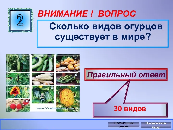 ВНИМАНИЕ ! ВОПРОС Сколько видов огурцов существует в мире? 2