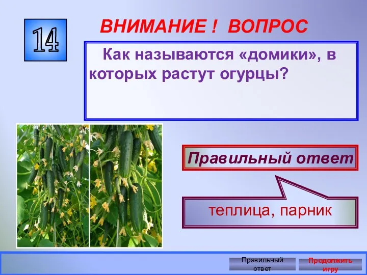 Как называются «домики», в которых растут огурцы? 14 ВНИМАНИЕ !