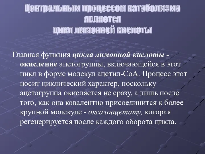 Центральным процессом катаболизма является цикл лимонной кислоты Главная функция цикла