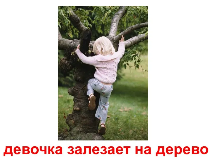 девочка залезает на дерево