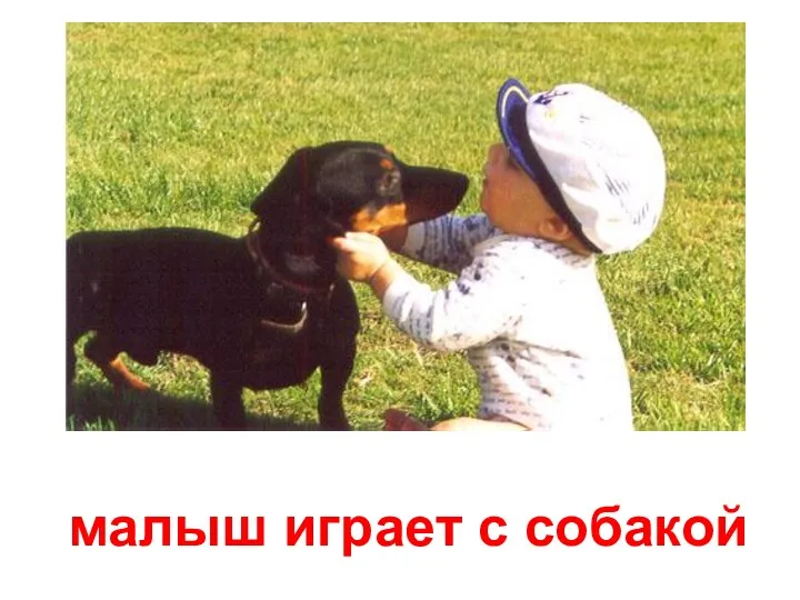 малыш играет с собакой