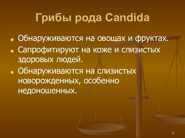 Грибы рода Candida Обнаруживаются на овощах и фруктах. Сапрофитируют на