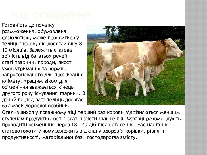 ЧАС ОСІМЕНІННЯ Готовність до початку розмноження, обумовлена фізіологією, може проявитися