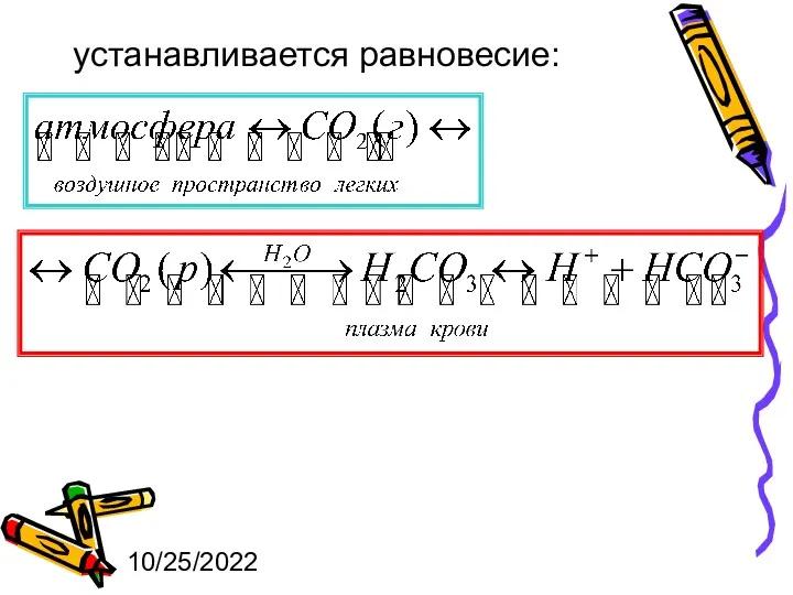 10/25/2022 устанавливается равновесие: