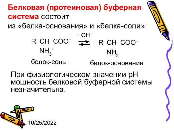 10/25/2022 Белковая (протеиновая) буферная система состоит из «белка-основания» и «белка-соли»: + ОН– белок-соль