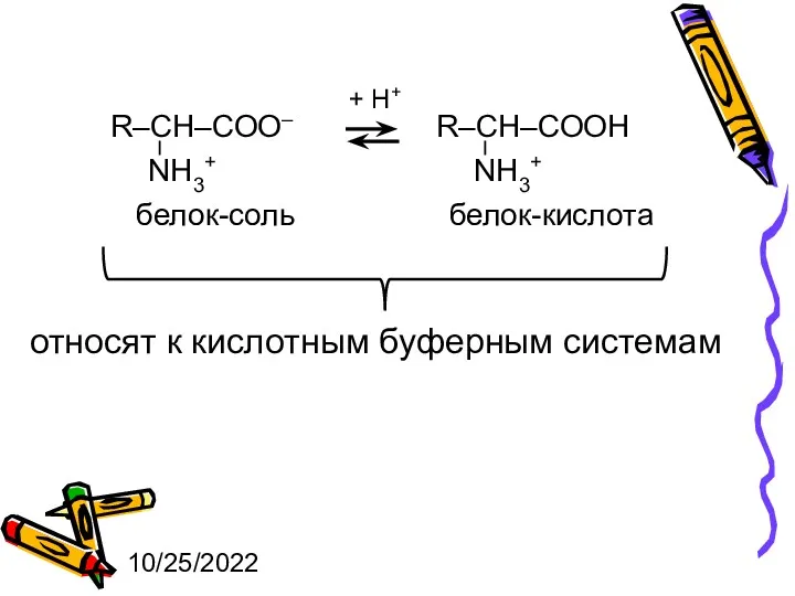 10/25/2022 + Н+ белок-соль белок-кислота относят к кислотным буферным системам