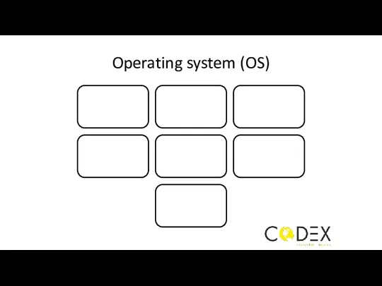 Operating system (OS)