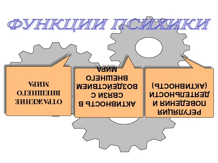 ФУНКЦИИ ПСИХИКИ ОТРАЖЕНИЕ ВНЕШНЕГО МИРА АКТИВНОСТЬ В СВЯЗИ С ВОЗДЕЙСТВИЕМ