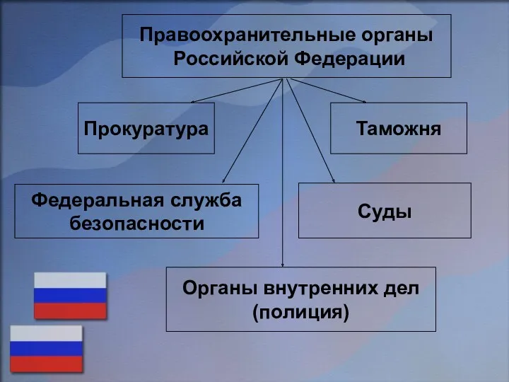 Правоохранительные органы Российской Федерации Прокуратура Таможня Федеральная служба безопасности Суды Органы внутренних дел (полиция)