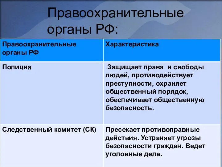 Правоохранительные органы РФ: