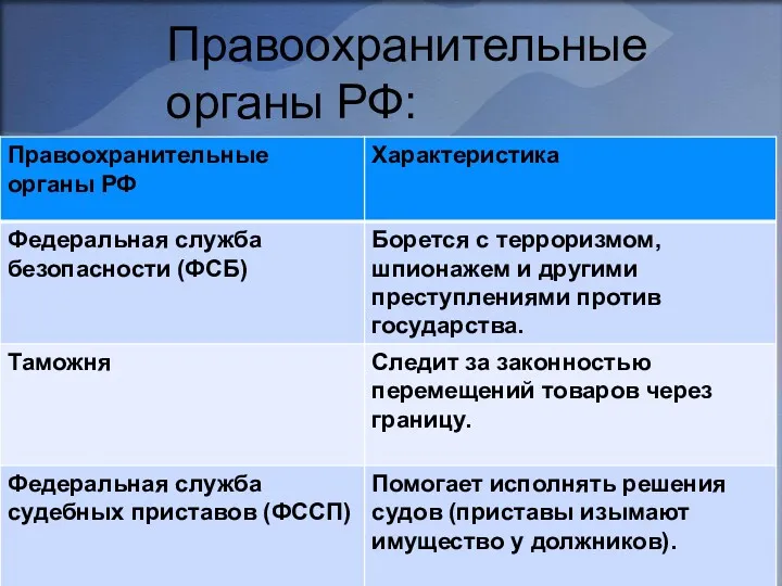 Правоохранительные органы РФ: