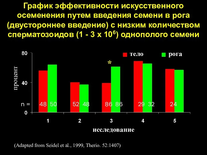 График эффективности искусственного осеменения путем введения семени в рога (двустороннее