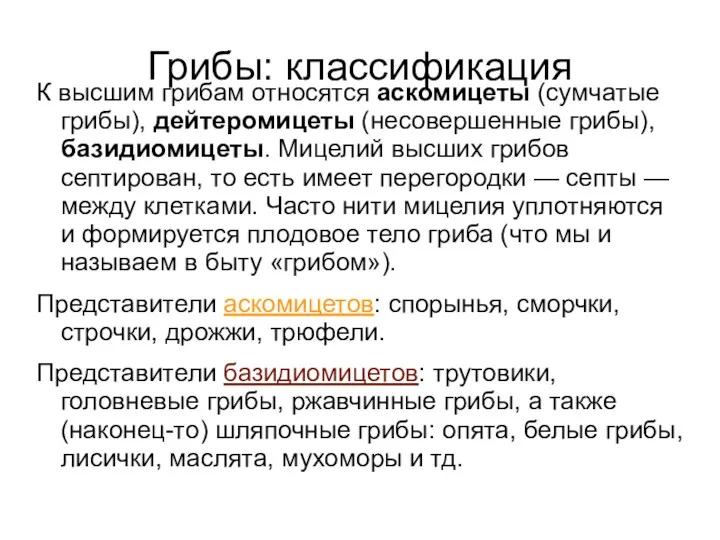 Грибы: классификация К высшим грибам относятся аскомицеты (сумчатые грибы), дейтеромицеты