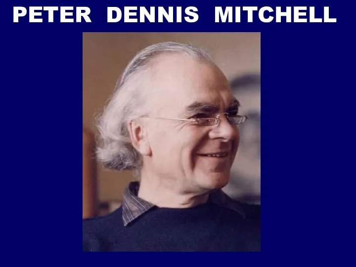 PETER DENNIS MITCHELL