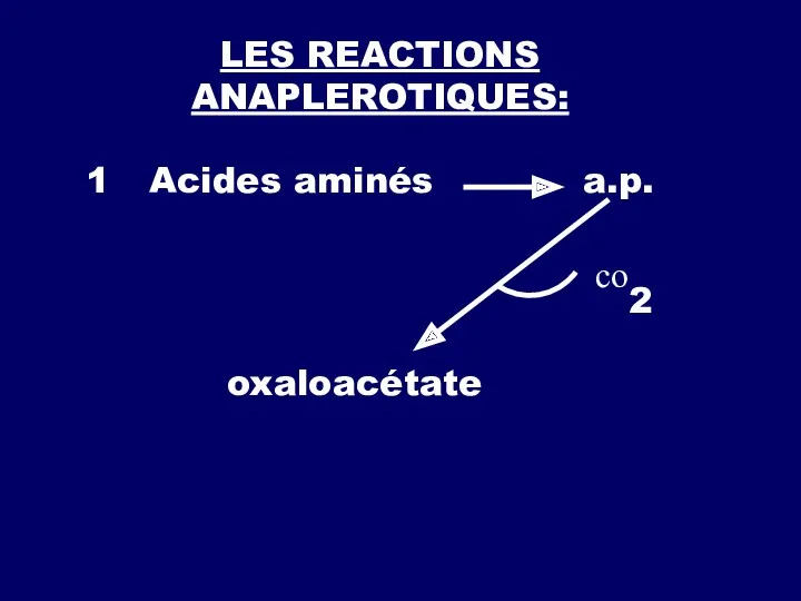 LES REACTIONS ANAPLEROTIQUES: 1