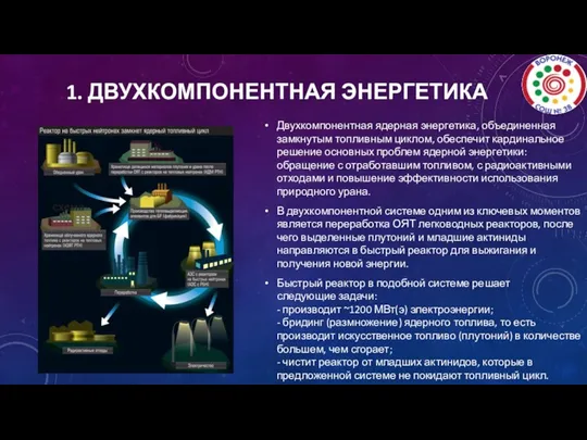 1. ДВУХКОМПОНЕНТНАЯ ЭНЕРГЕТИКА Двухкомпонентная ядерная энергетика, объединенная замкнутым топливным циклом,