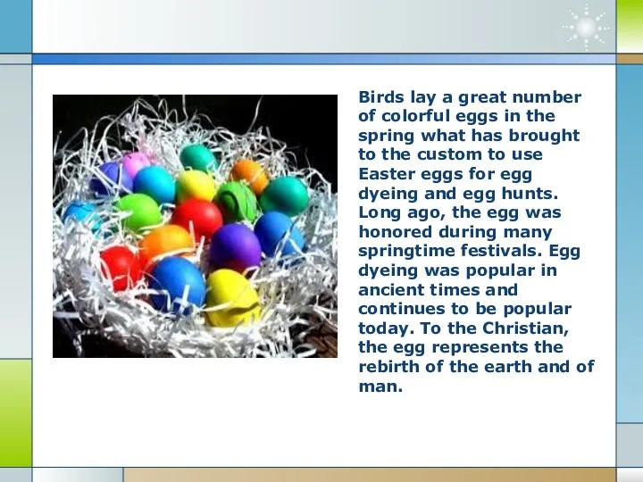 Birds lay a great number of colorful eggs in the