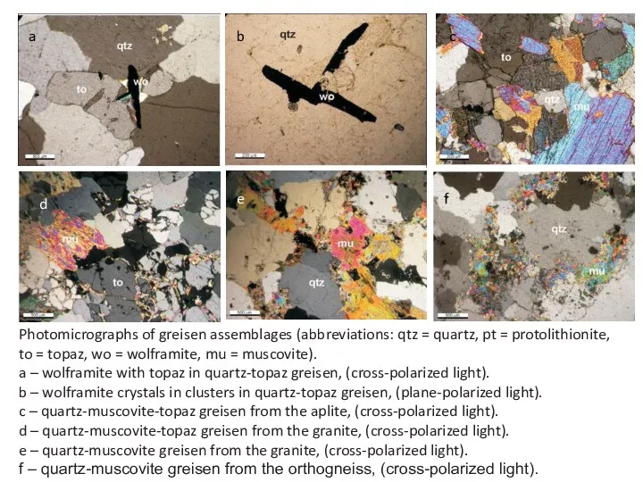 Photomicrographs of greisen assemblages (abbreviations: qtz = quartz, pt =