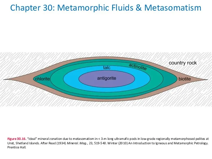 Chapter 30: Metamorphic Fluids & Metasomatism Figure 30.16. “Ideal” mineral zonation due to metasomatism in