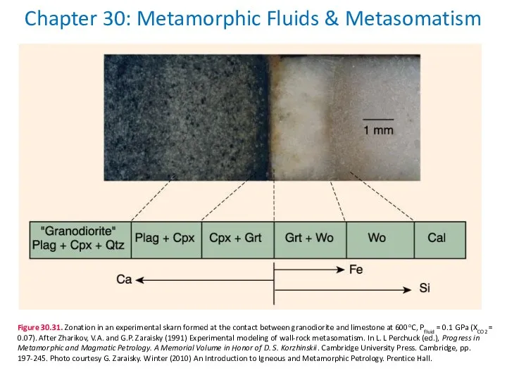 Chapter 30: Metamorphic Fluids & Metasomatism Figure 30.31. Zonation in