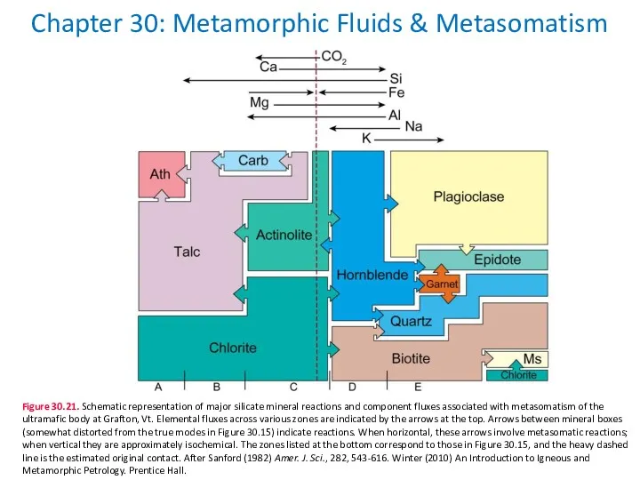 Chapter 30: Metamorphic Fluids & Metasomatism Figure 30.21. Schematic representation