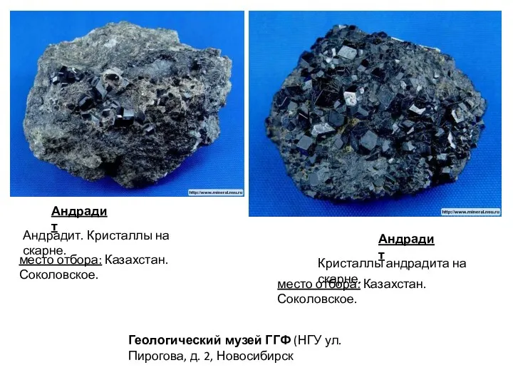 Андрадит Андрадит. Кристаллы на скарне. место отбора: Казахстан. Соколовское. Андрадит