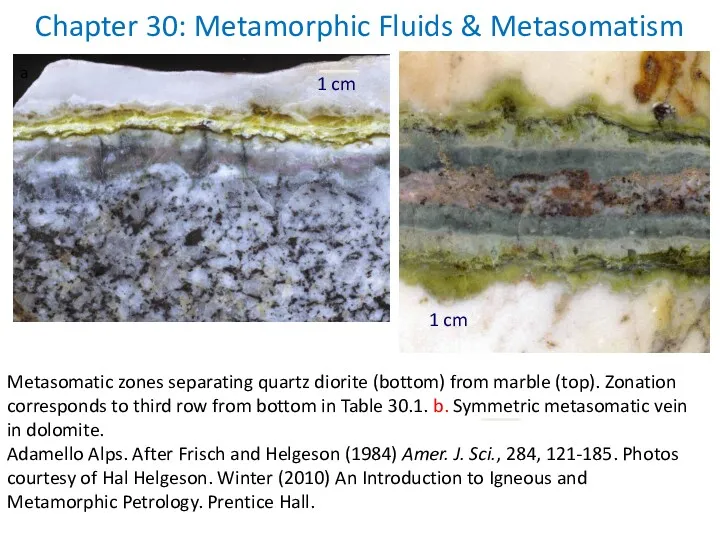 Chapter 30: Metamorphic Fluids & Metasomatism Metasomatic zones separating quartz