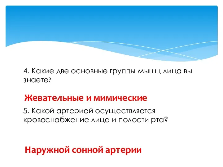 4. Какие две основные группы мышц лица вы знаете? 5. Какой артерией осуществляется