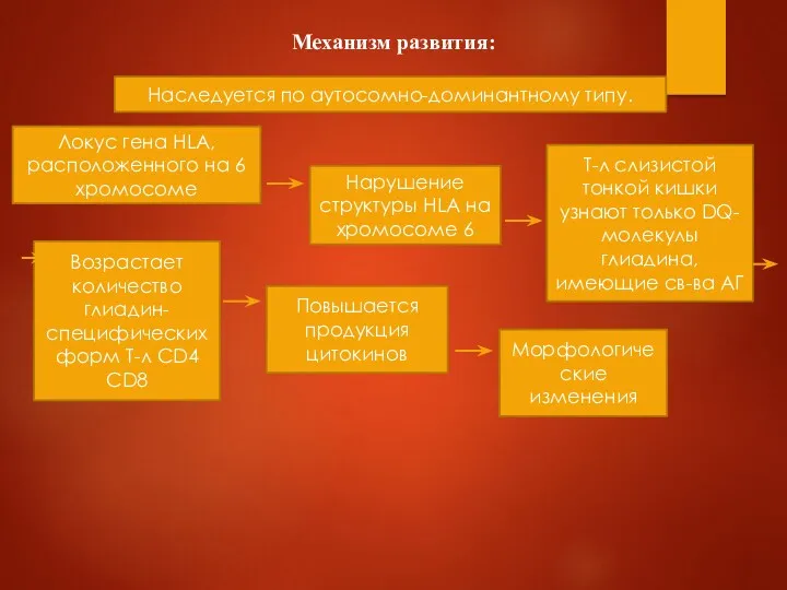 Механизм развития: Наследуется по аутосомно-доминантному типу. Локус гена HLA, расположенного