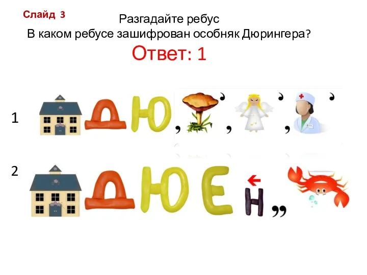 Разгадайте ребус В каком ребусе зашифрован особняк Дюрингера? Ответ: 1 1 2 Слайд 3