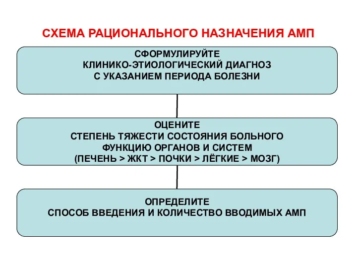 СХЕМА РАЦИОНАЛЬНОГО НАЗНАЧЕНИЯ АМП