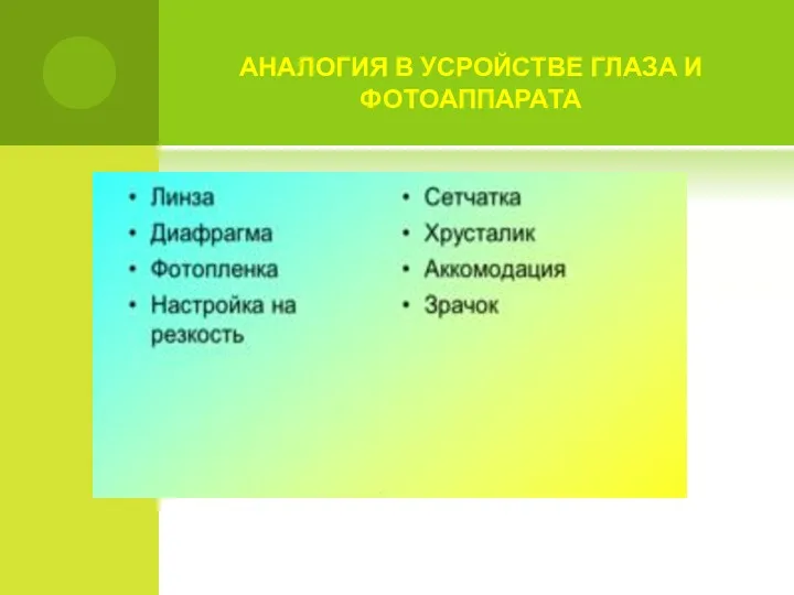 АНАЛОГИЯ В УСРОЙСТВЕ ГЛАЗА И ФОТОАППАРАТА