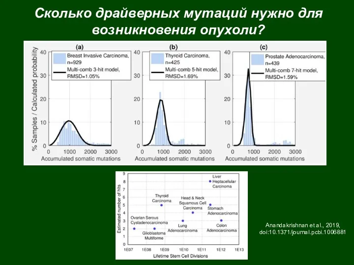 Сколько драйверных мутаций нужно для возникновения опухоли? Anandakrishnan et al., 2019, doi:10.1371/journal.pcbi.1006881