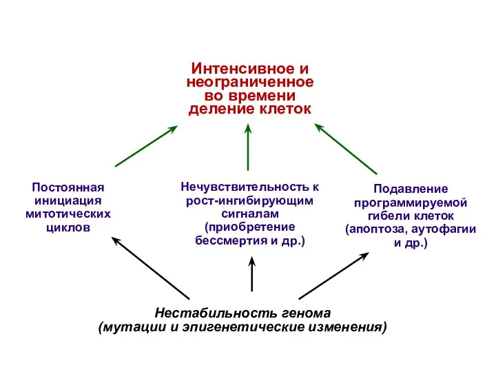 Нестабильность генома (мутации и эпигенетические изменения) Нечувствительность к рост-ингибирующим сигналам