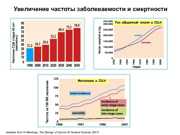 Меланома в США Рак ободочной кишки в США Население США