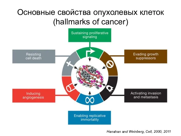 Основные свойства опухолевых клеток (hallmarks of cancer) Hanahan and Weinberg, Cell, 2000, 2011