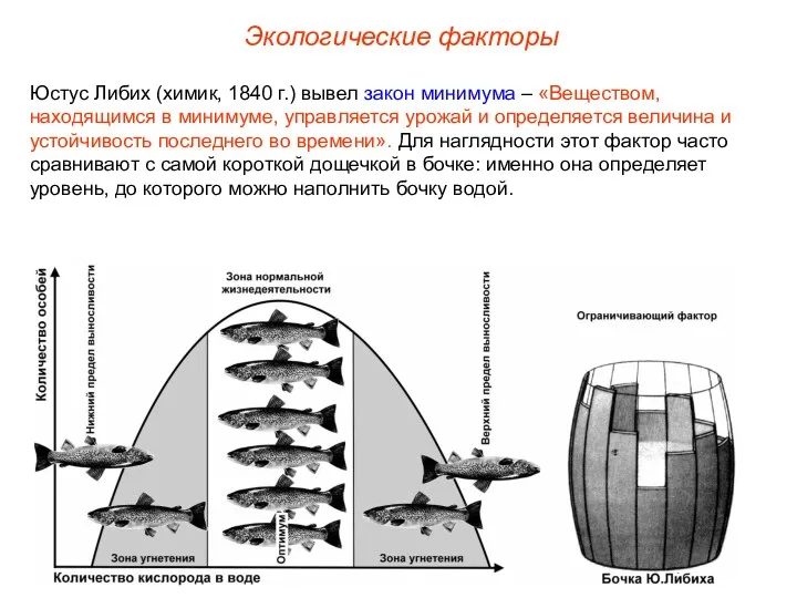 Экологические факторы Юстус Либих (химик, 1840 г.) вывел закон минимума