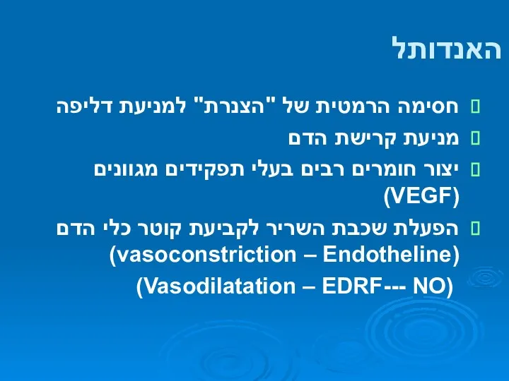 תפקידי האנדותל חסימה הרמטית של "הצנרת" למניעת דליפה מניעת קרישת