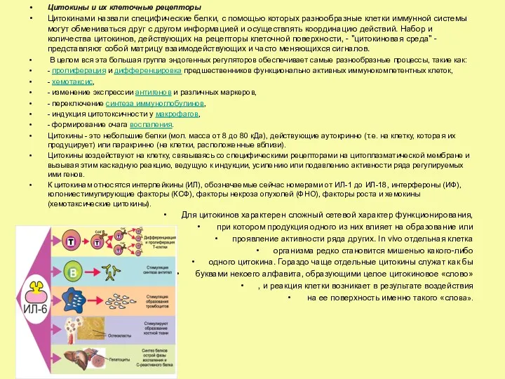 Цитокины и их клеточные рецепторы Цитокинами назвали специфические белки, с