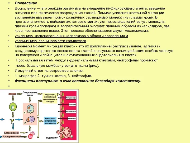 Воспаление Воспаление — это реакция организма на внедрение инфицирующего агента,