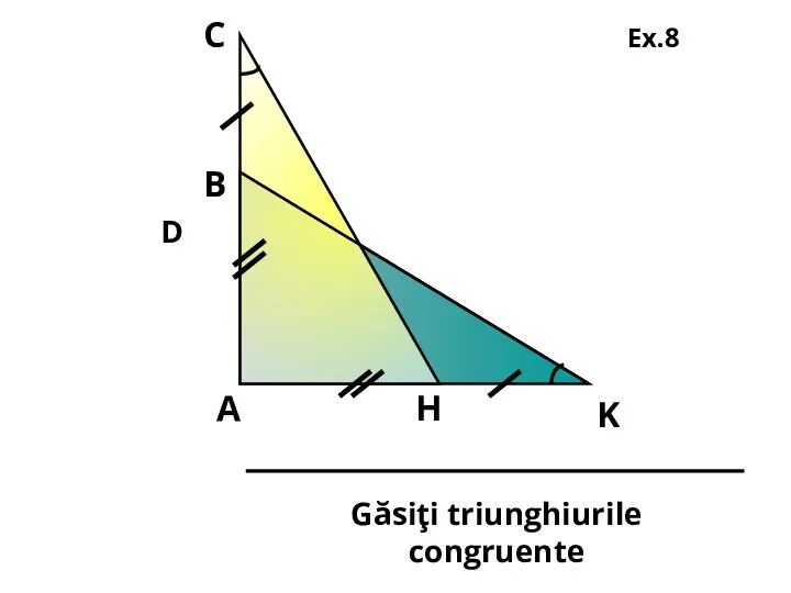 D Ex.8