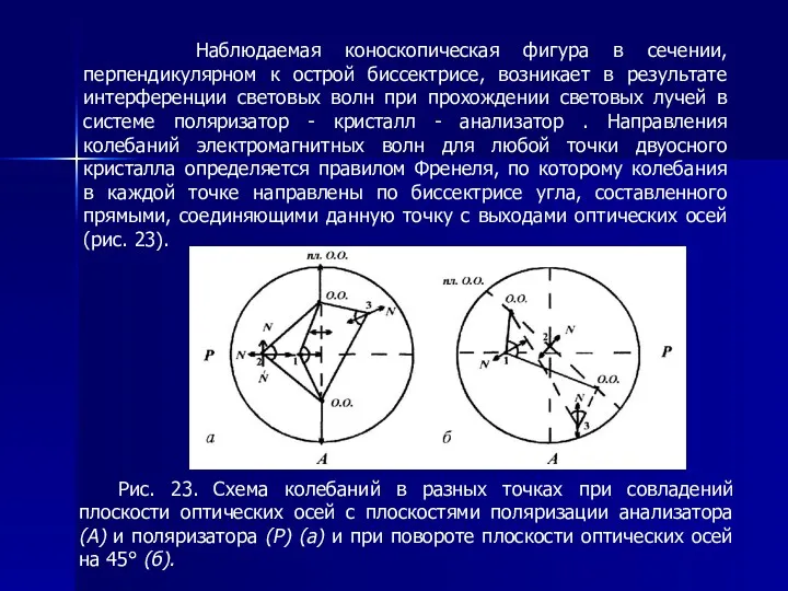 Наблюдаемая коноскопическая фигура в сечении, перпендикулярном к острой биссектрисе, возникает