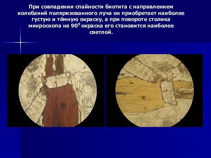 При совпадении спайности биотита с направлением колебаний поляризованного луча он